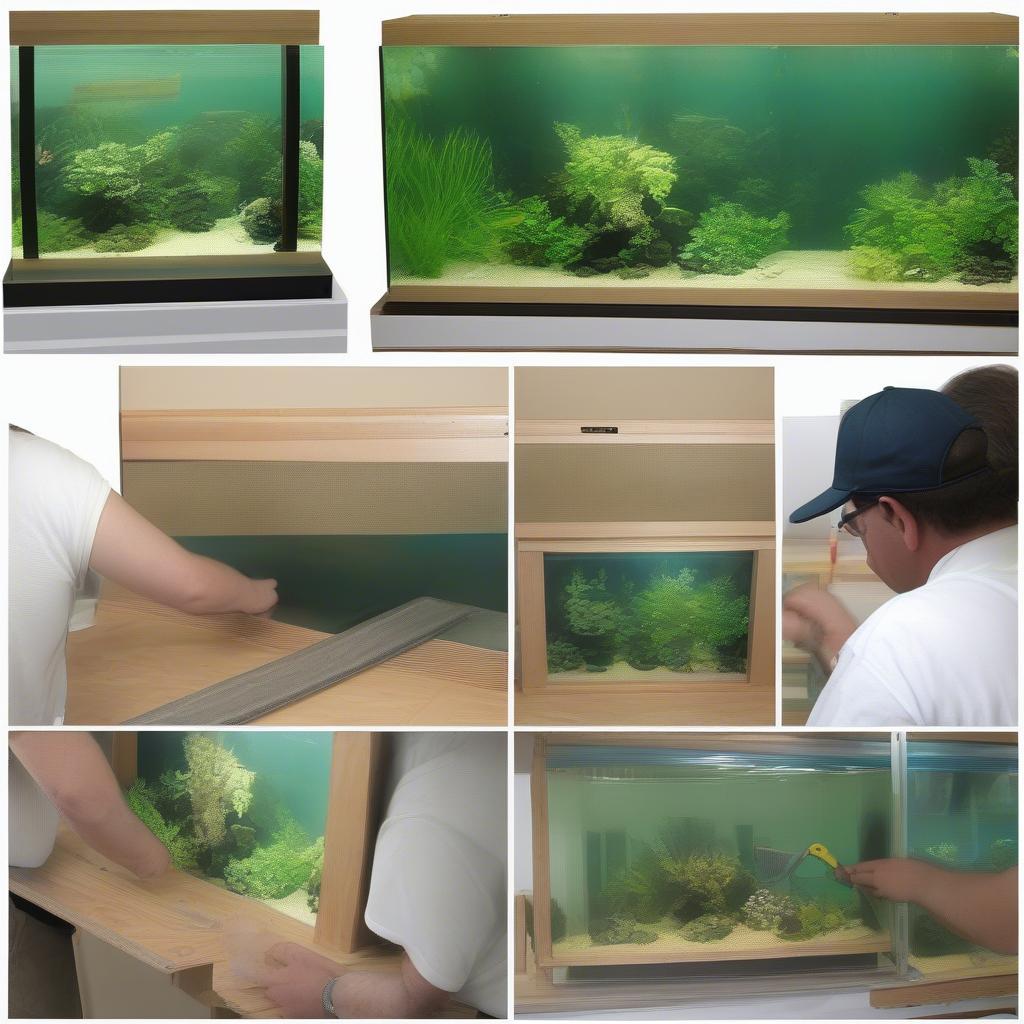 Constructing and Maintaining a Wall-Mounted Aquarium